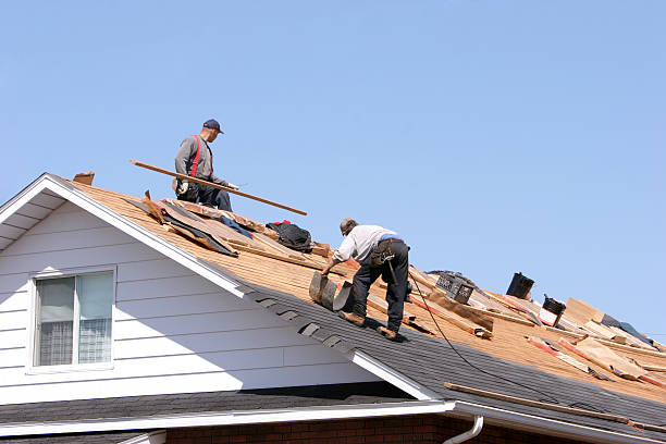 Best Roof Maintenance and Cleaning  in Irvine, KY